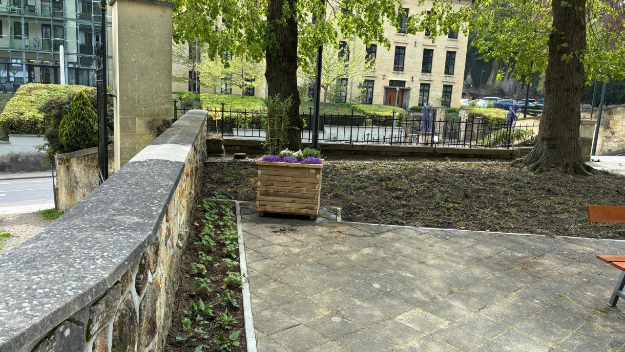 PHOTO 2026 04 21 14